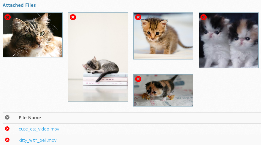 Image Gallery for Item Full of Cats